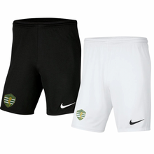 Load image into Gallery viewer, Greystones United AFC - Nike Park Shorts
